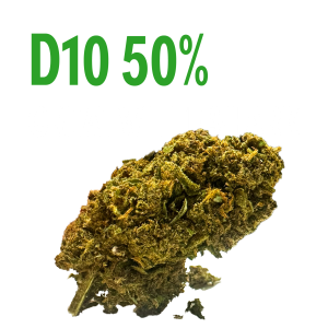 d10 50% great white shark