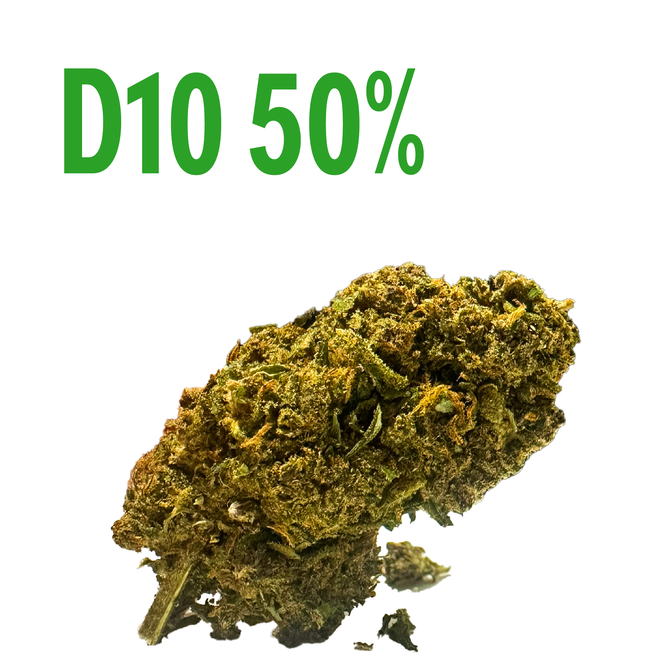 d10 50% great white shark d10 50% great white shark