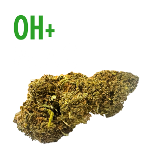 oh+ mac