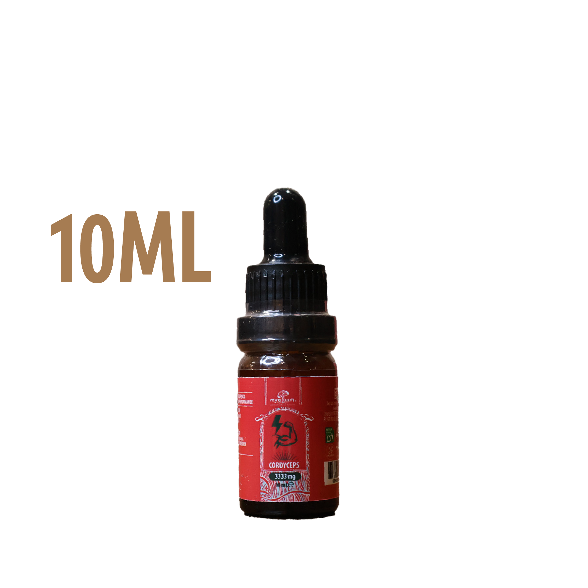 cordyceps cordyceps