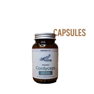 cordyceps