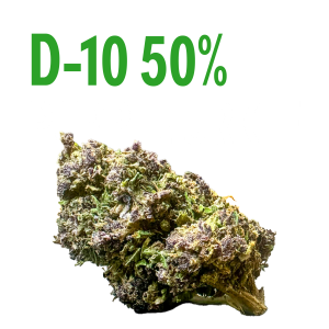 D10 purple urkle