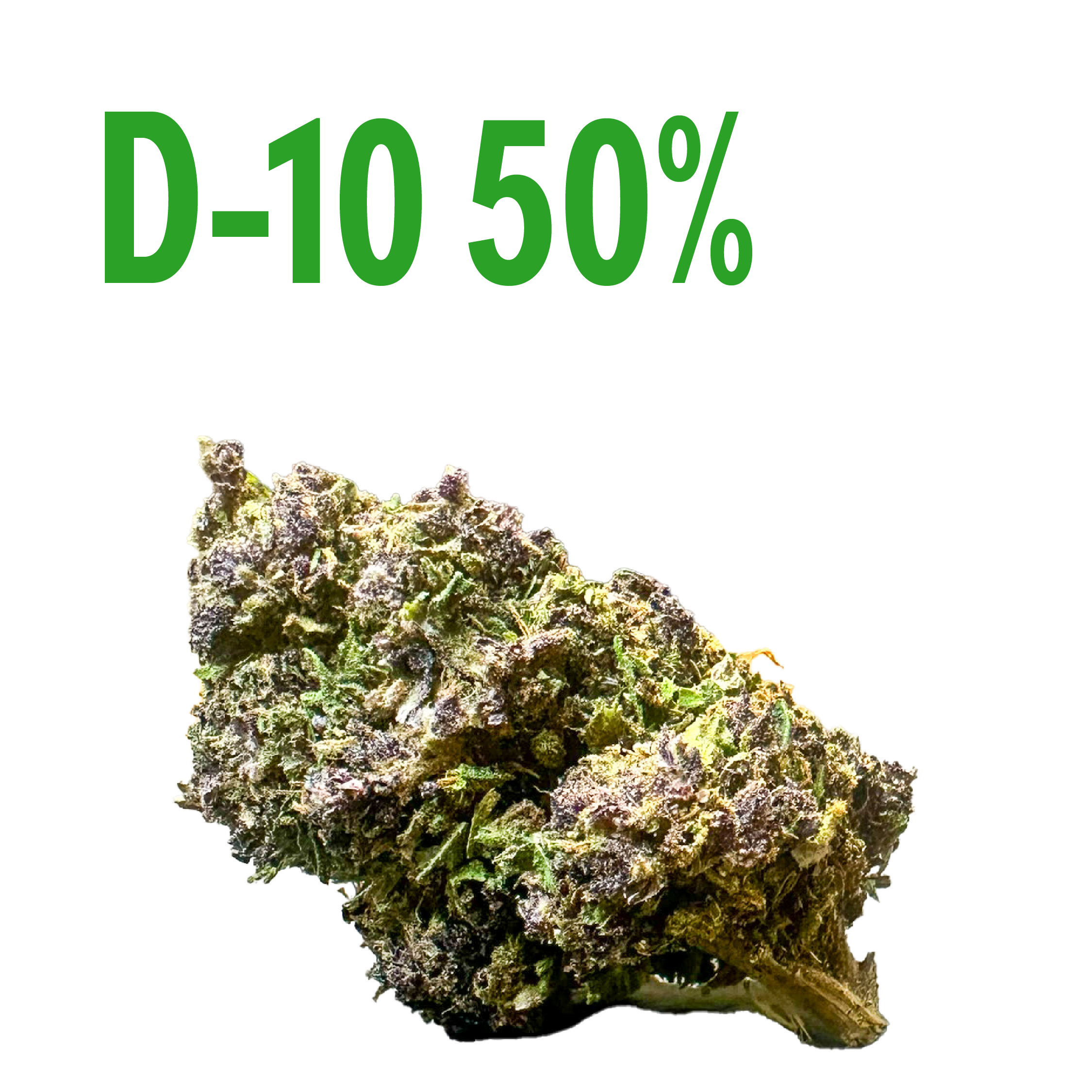 oh+ purple grape (copie) D10 purple urkle