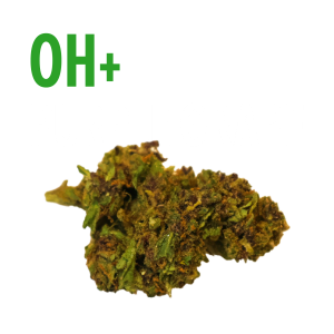 OH+ Purple Grape