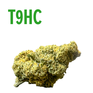 Home T9HC grape