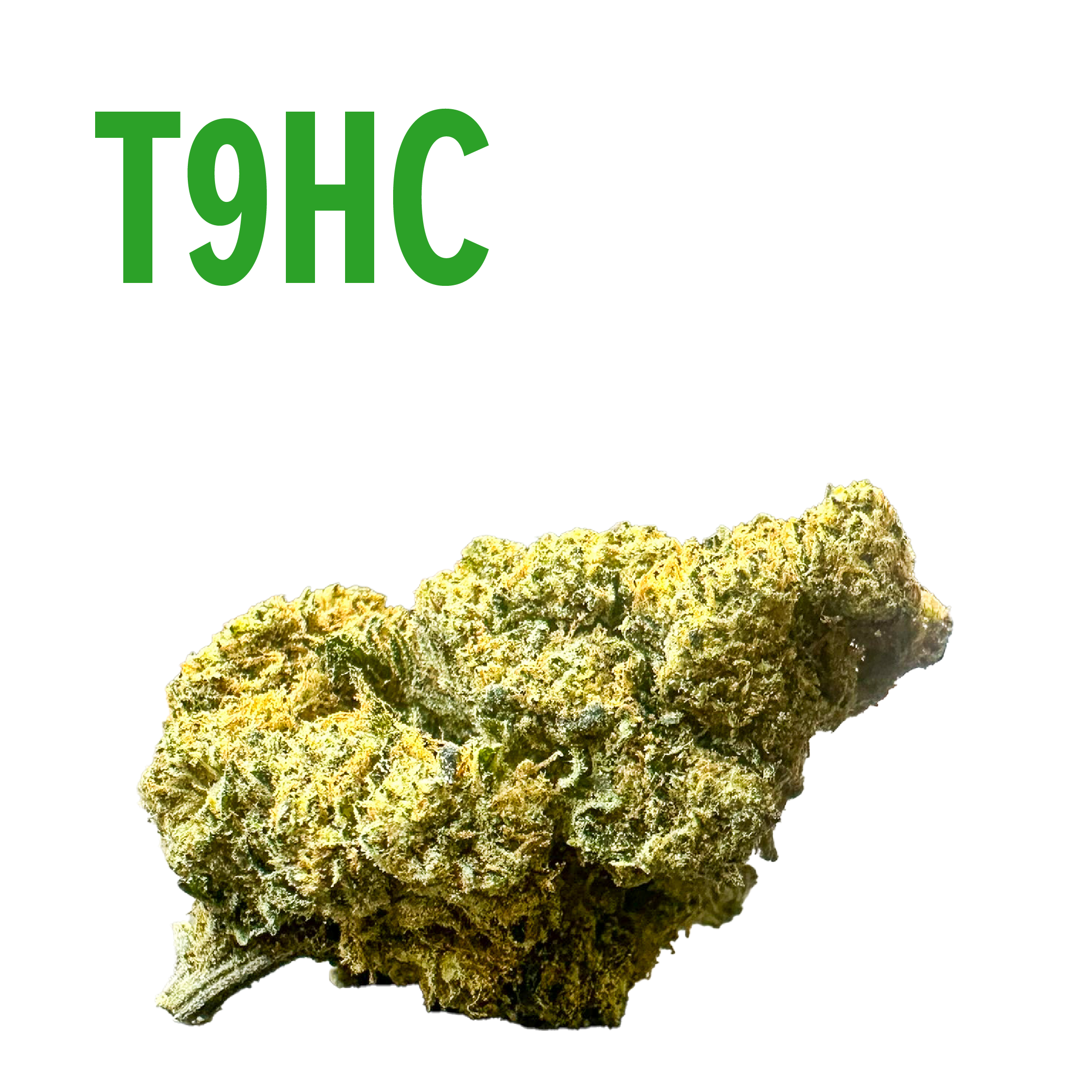 oh+ purple grape (copie) T9HC grape