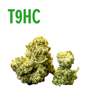 T9HC pêche