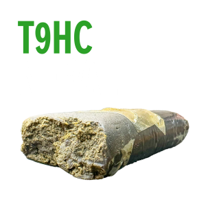 Home T9HC - nepal