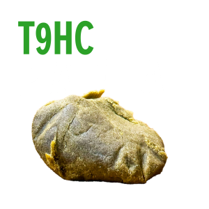 Home t9hc piatella