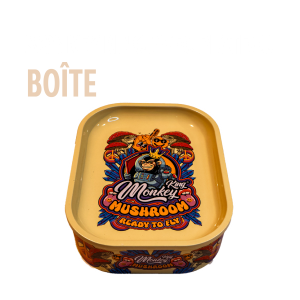 petite boîte en métal avec plateau monkey king