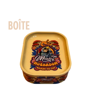 monkey