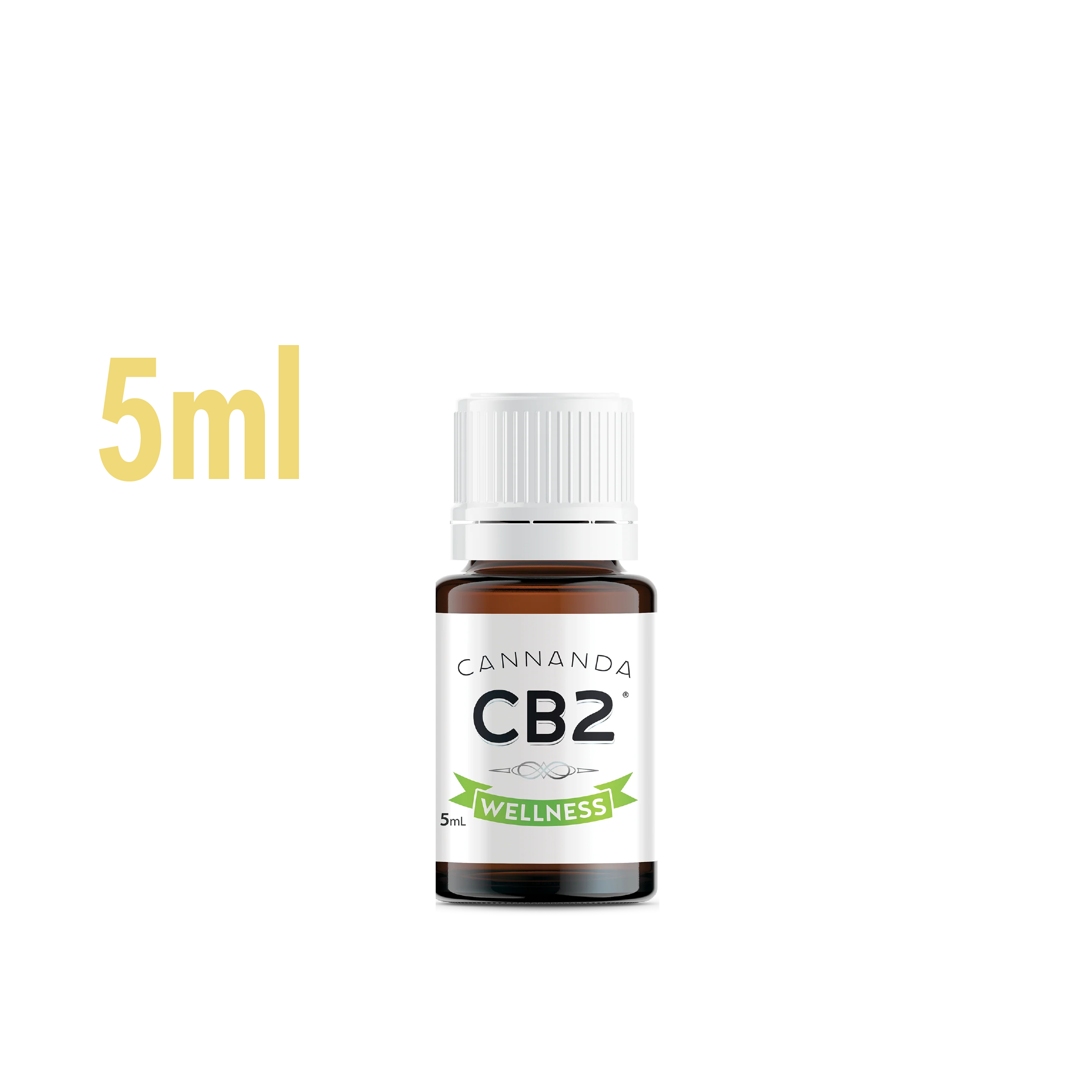 wellness wellness