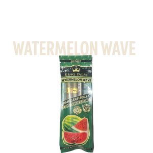 Home palmier 1